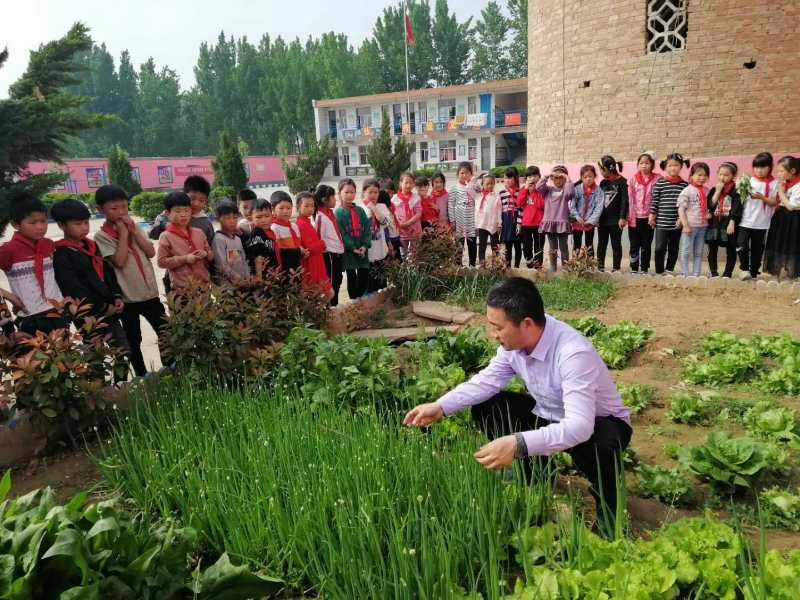 扎根農(nóng)村教育 奉獻無悔青春 ——記安陽縣呂村鎮(zhèn)前馮宿小學(xué)校長劉洪吉