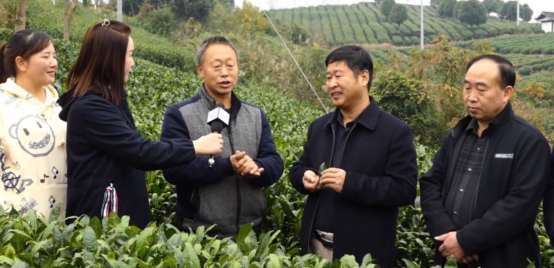 “碳?xì)錈o(wú)憂進(jìn)千縣 安全食品進(jìn)萬(wàn)家”在貴州凱里啟動(dòng)