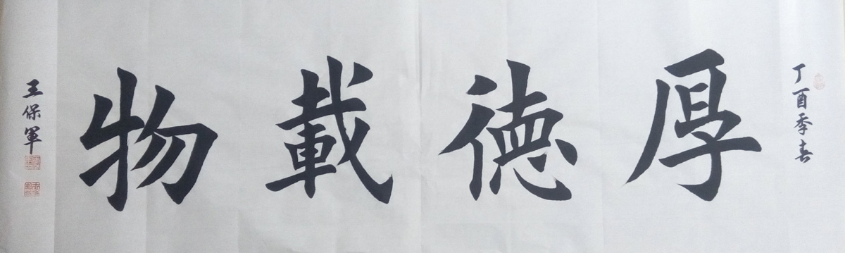 中國當代實力派書畫名家王保軍書法藝術(shù)欣賞