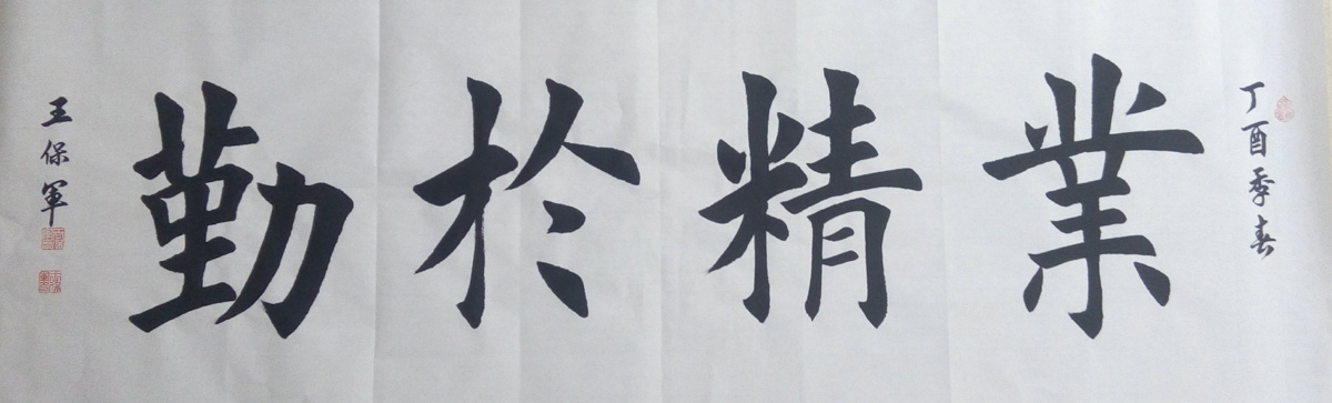 中國當代實力派書畫名家王保軍書法藝術(shù)欣賞