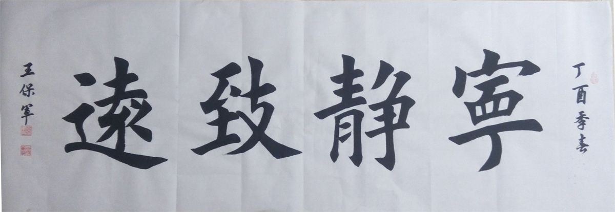 中國當代實力派書畫名家王保軍書法藝術(shù)欣賞